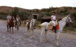 Horse Riding